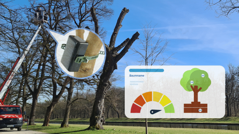 Bestandsbäume erhalten