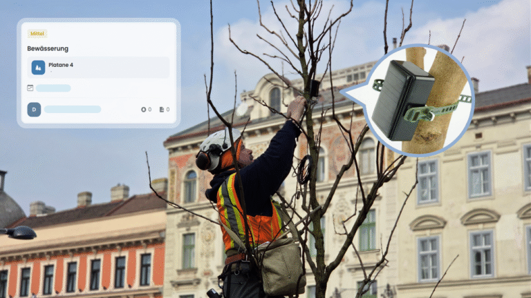 Neupflanzungen smart bewässern